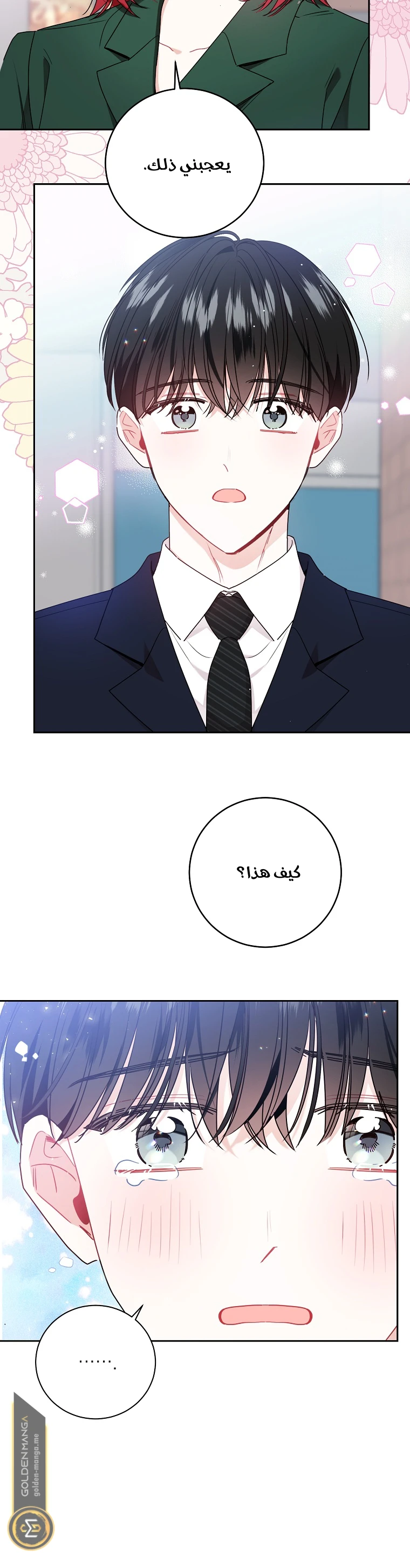 الصفحة 24