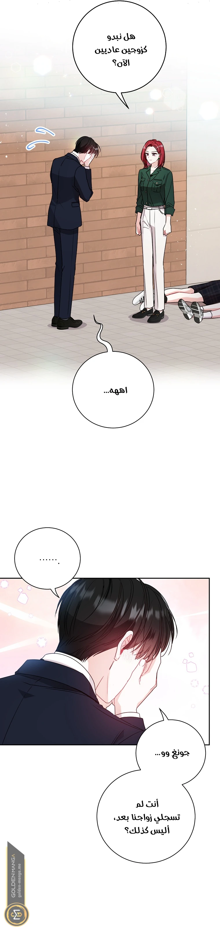 الصفحة 25