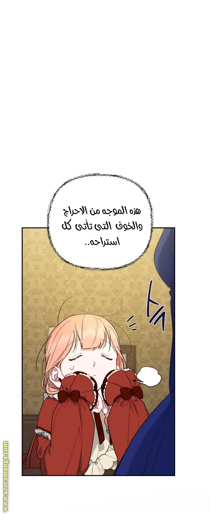 الصفحة 17