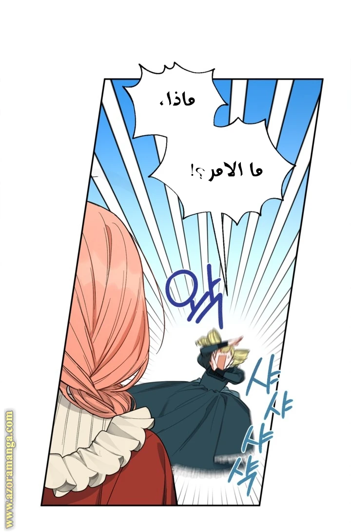 الصفحة 28