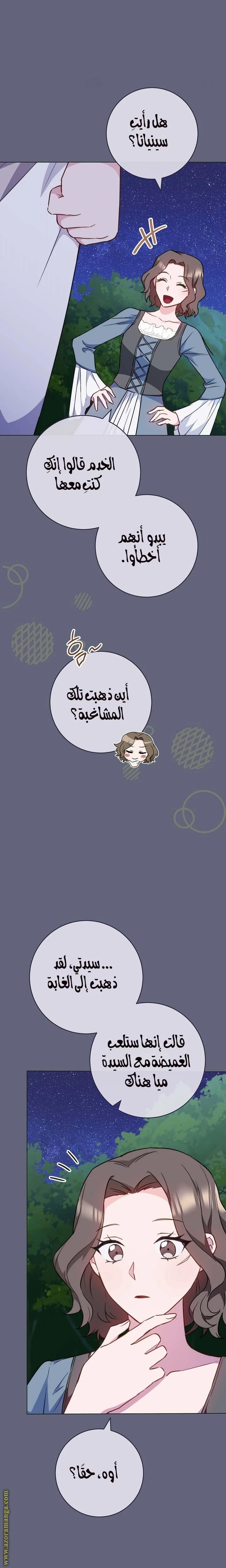 الصفحة 17