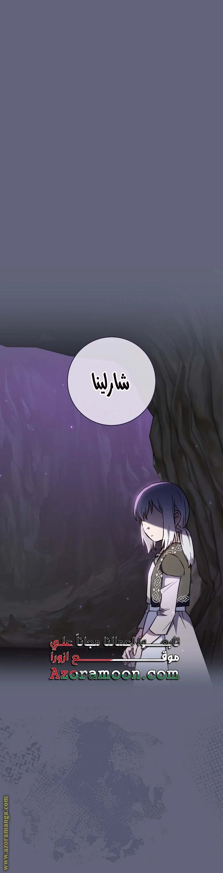 الصفحة 25