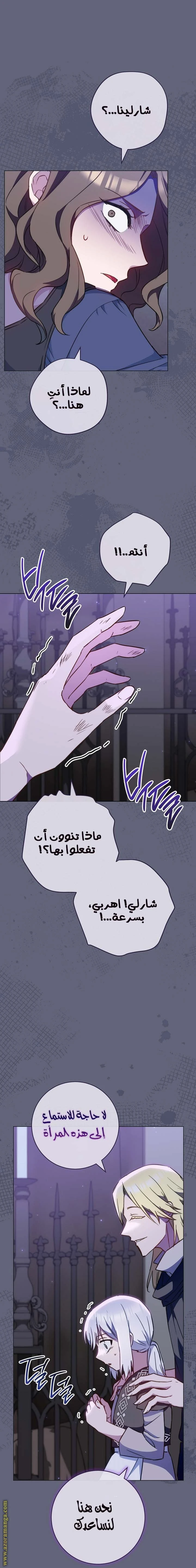 الصفحة 27