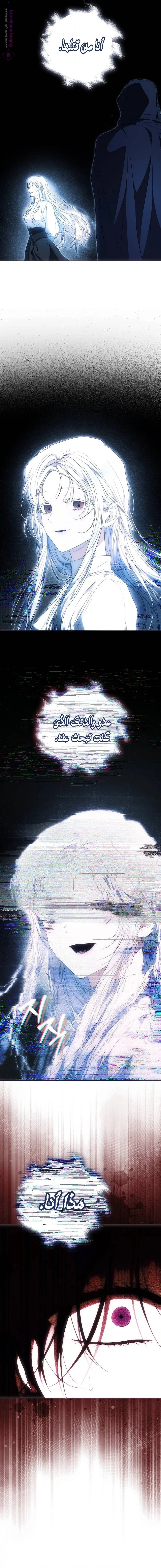 الصفحة 25