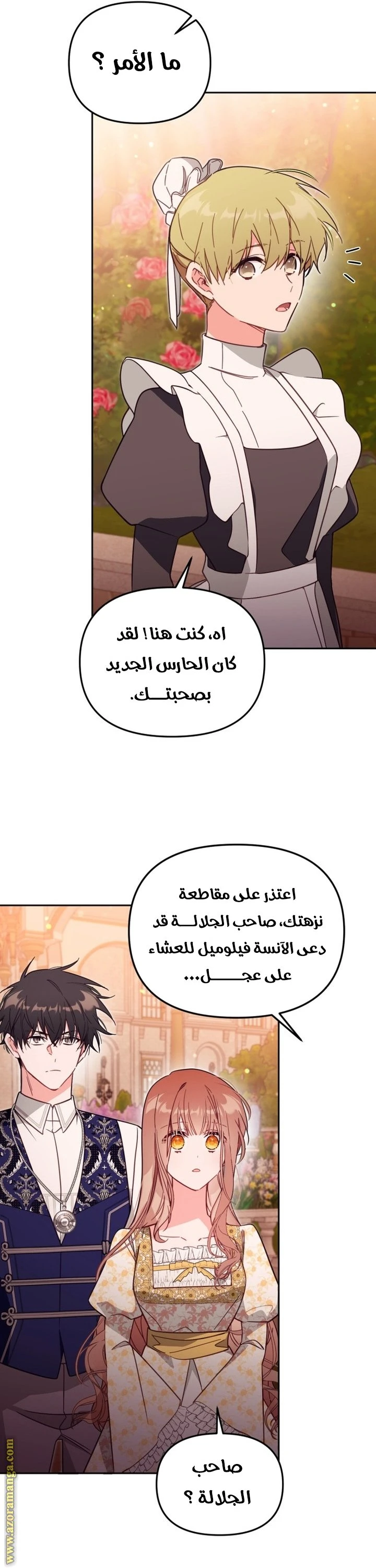 الصفحة 13