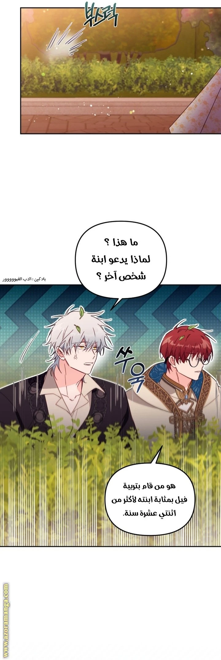 الصفحة 17