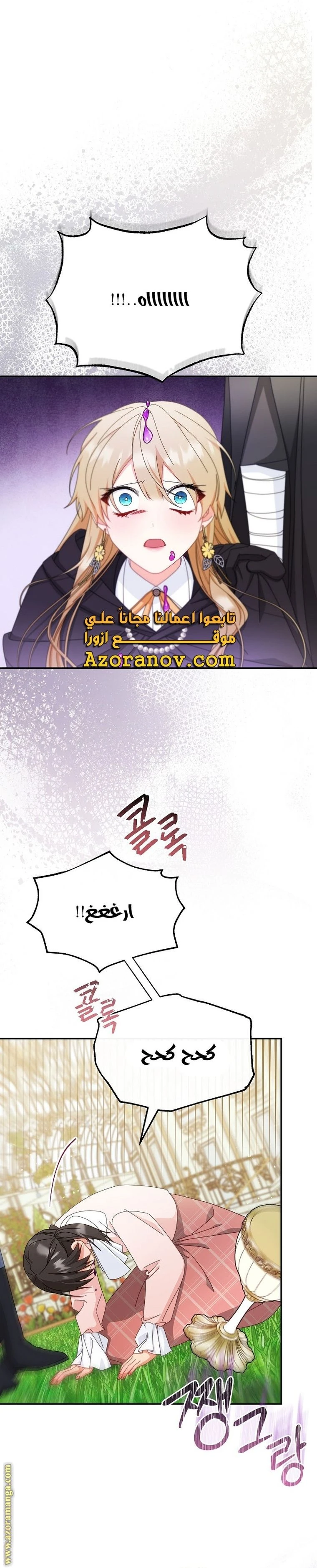 الصفحة 17