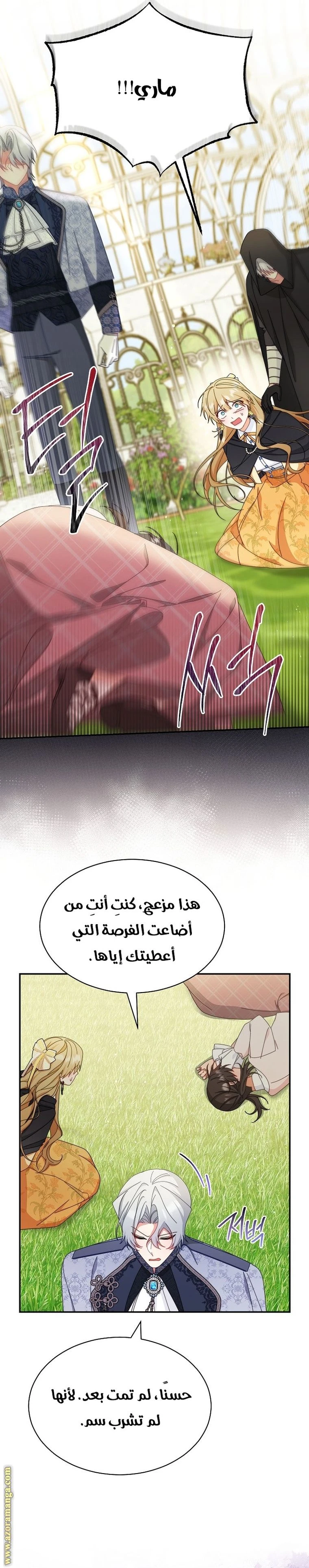 الصفحة 19