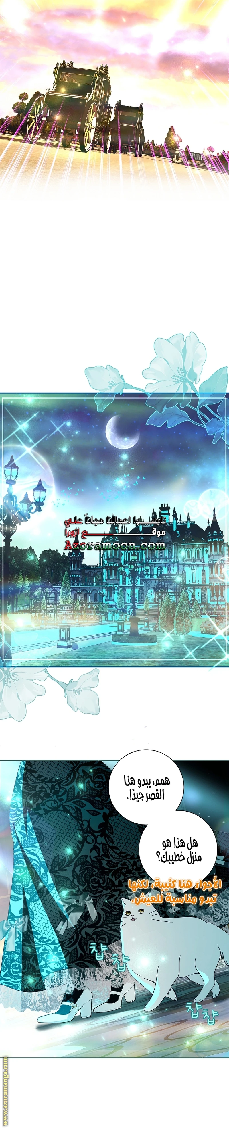 الصفحة 11