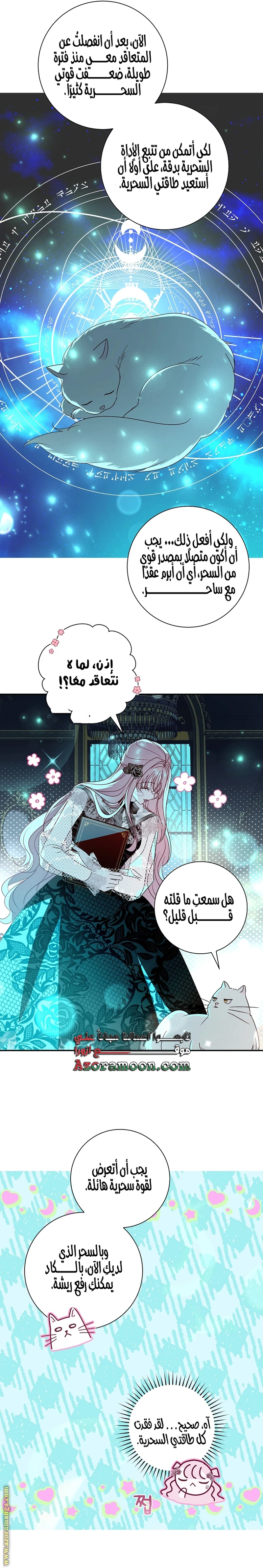 الصفحة 13