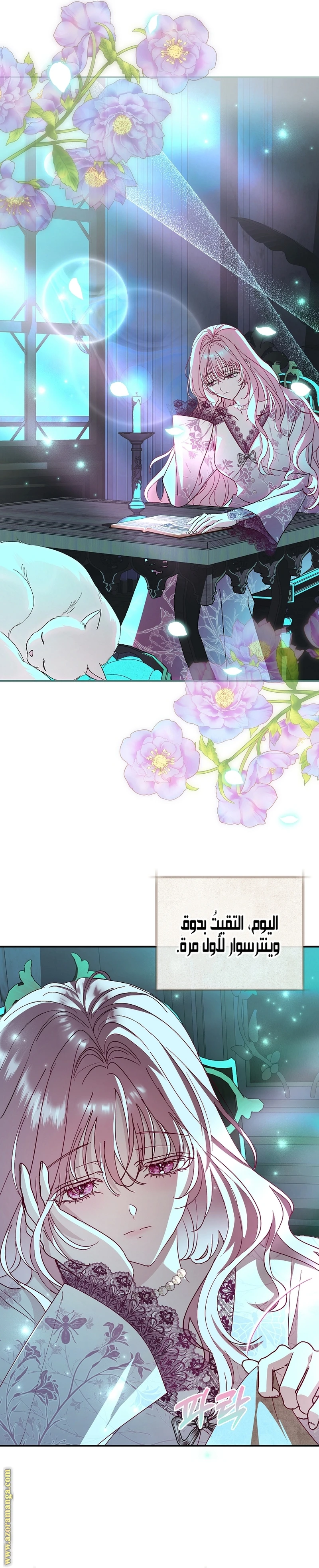 الصفحة 17