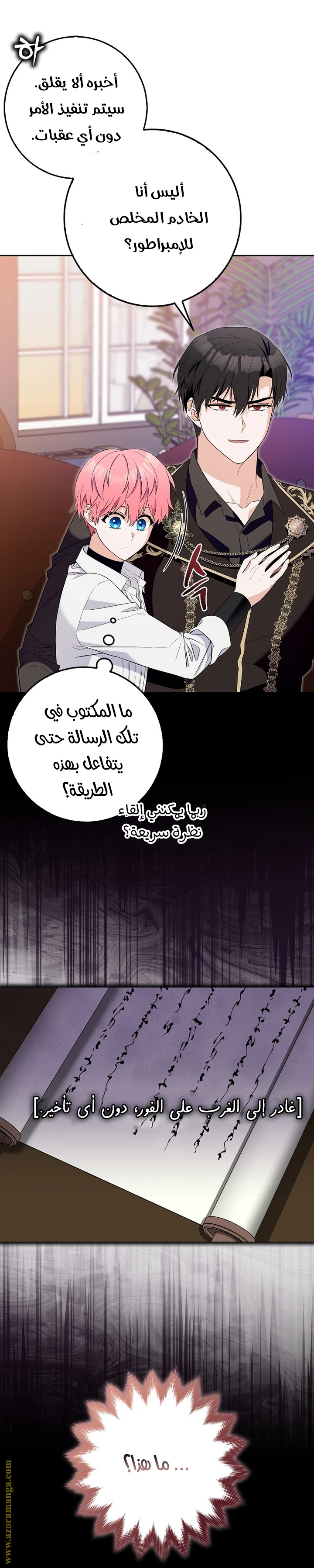 الصفحة 3
