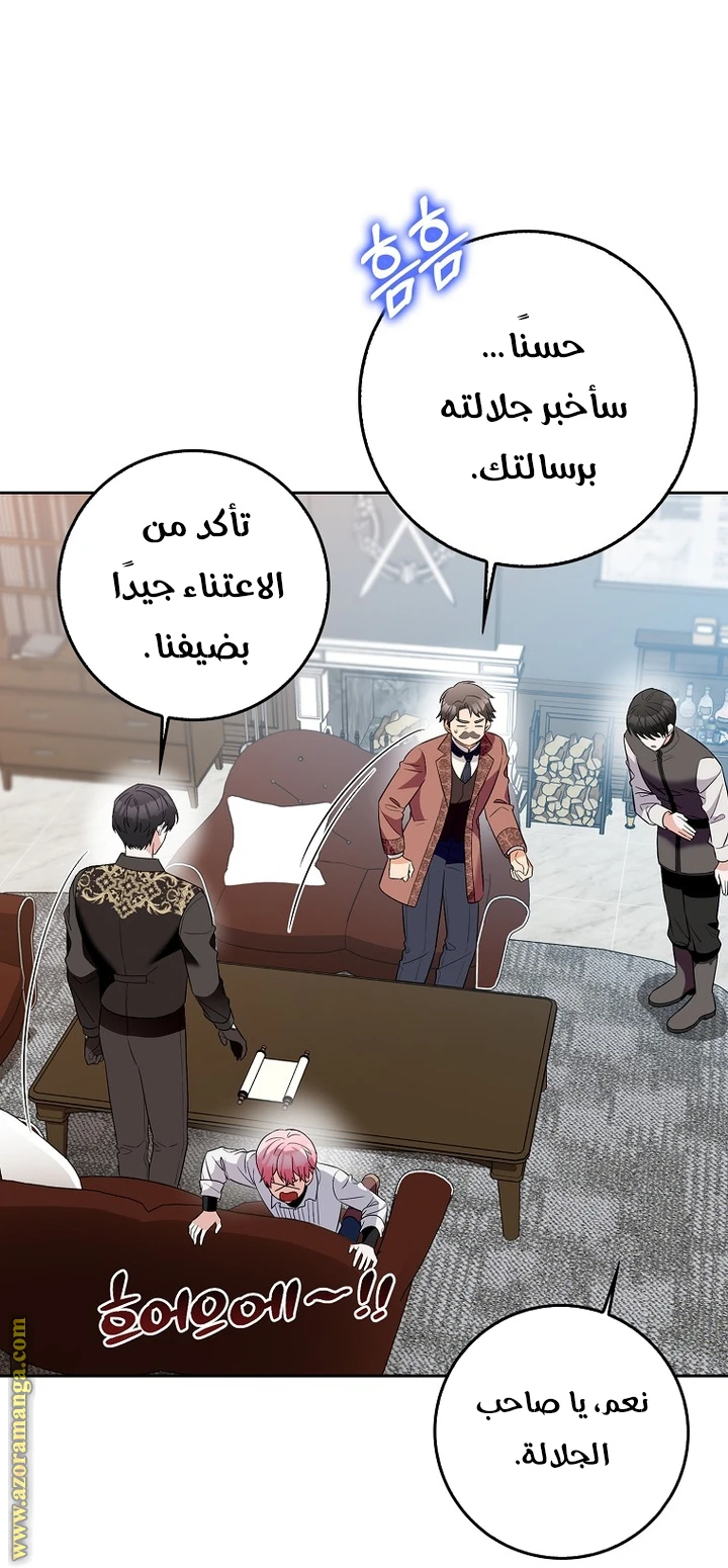 الصفحة 19