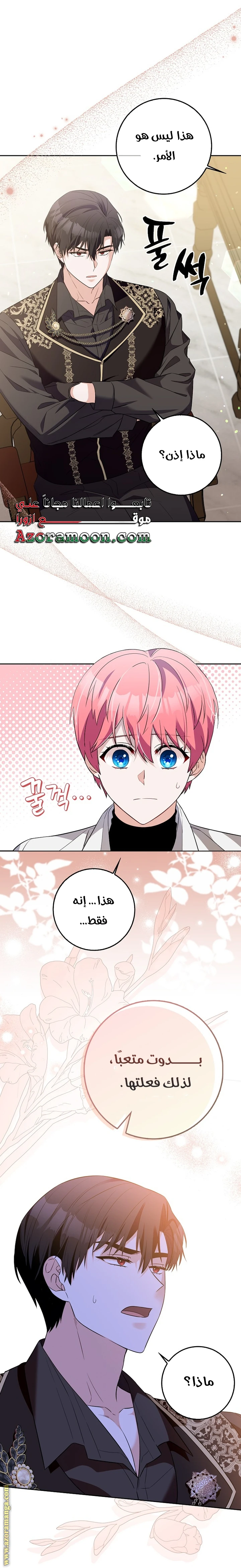 الصفحة 25