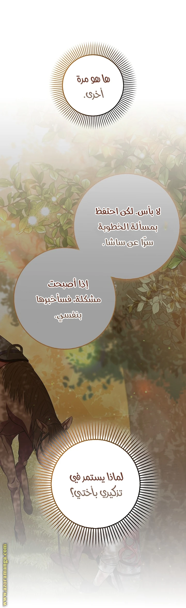 الصفحة 27
