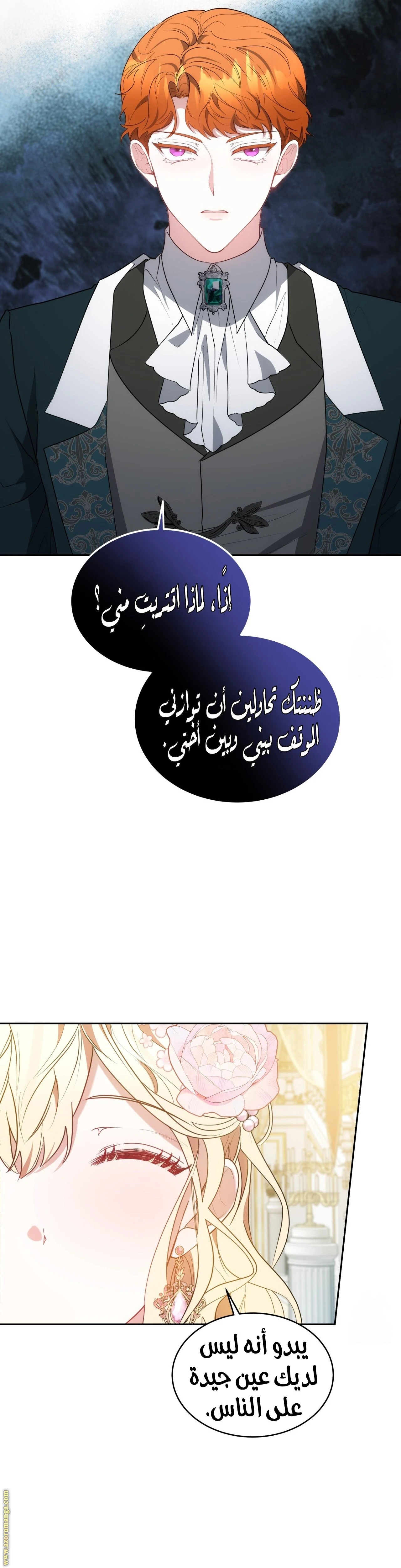 الصفحة 21