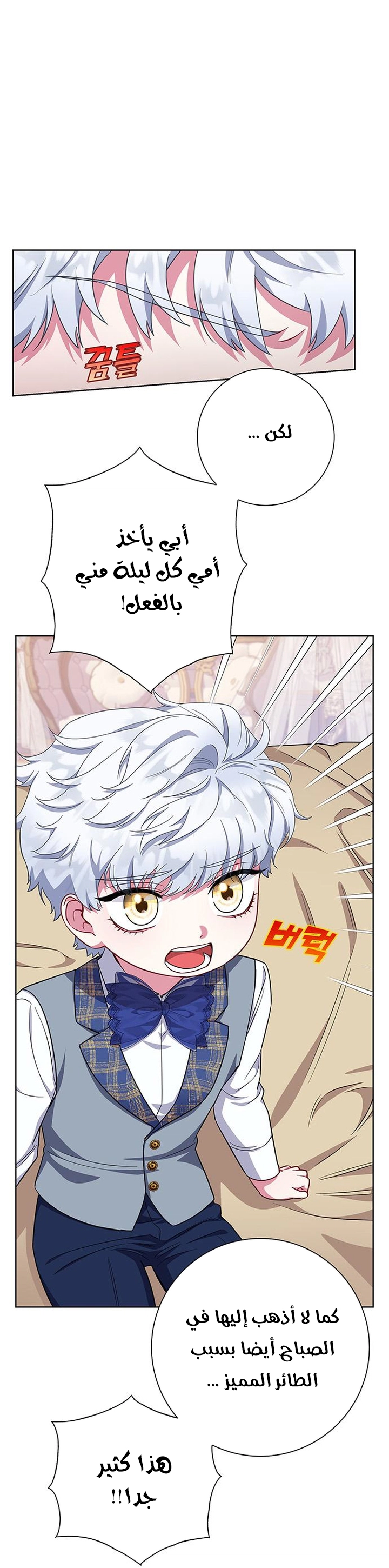 الصفحة 17
