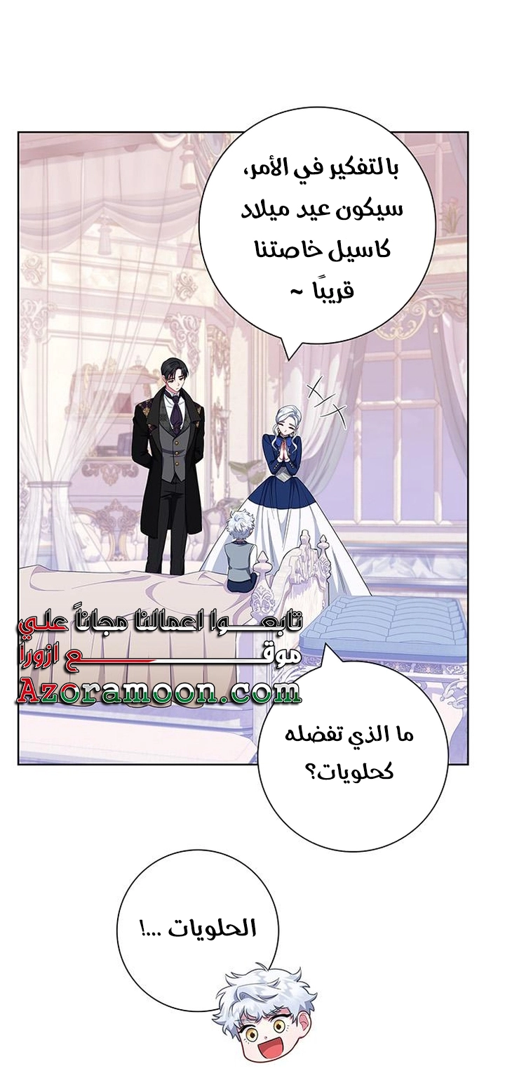 الصفحة 27