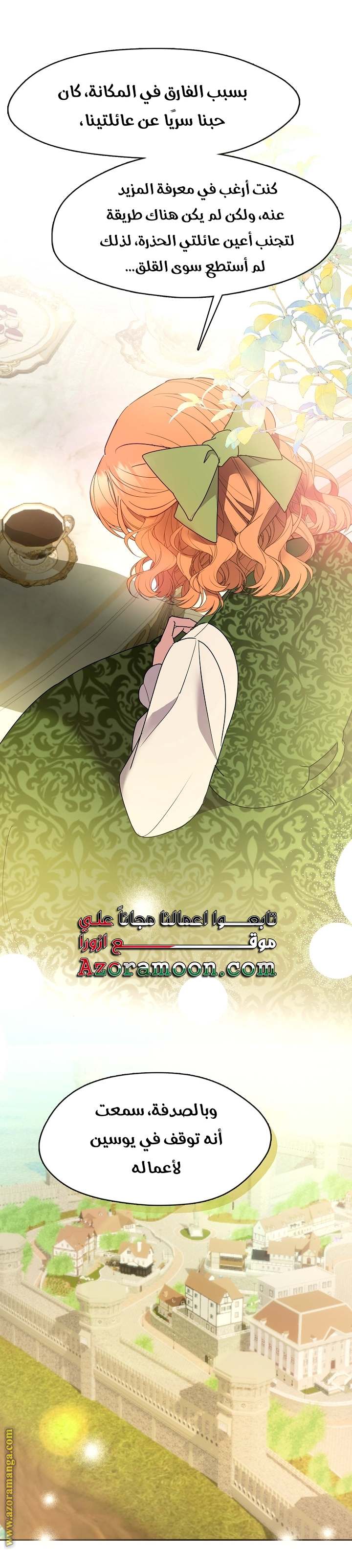 الصفحة 17