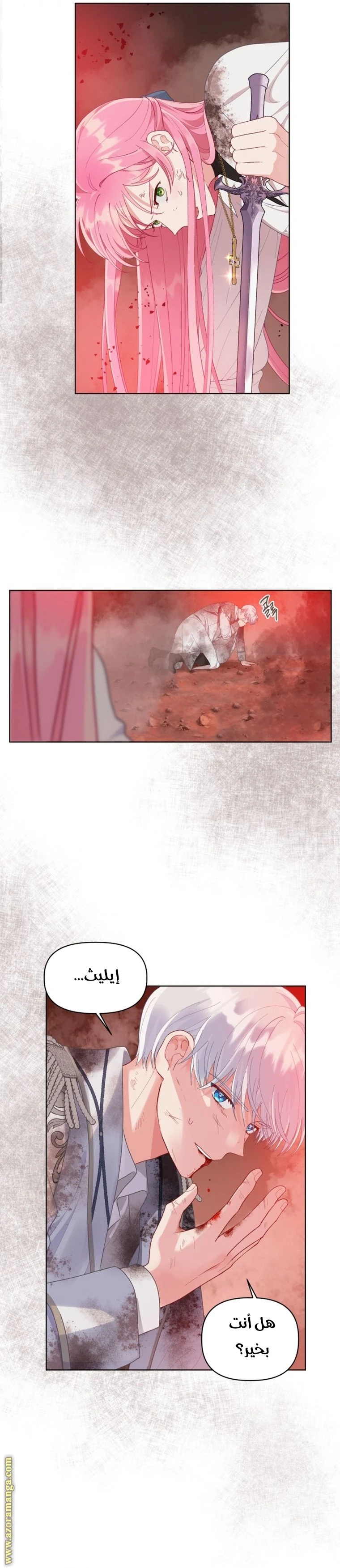الصفحة 17