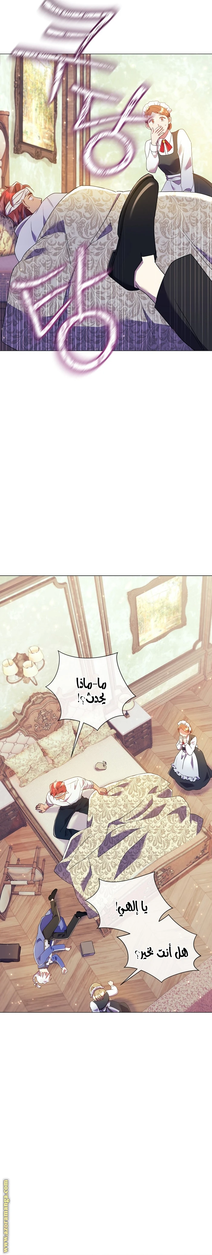 الصفحة 25