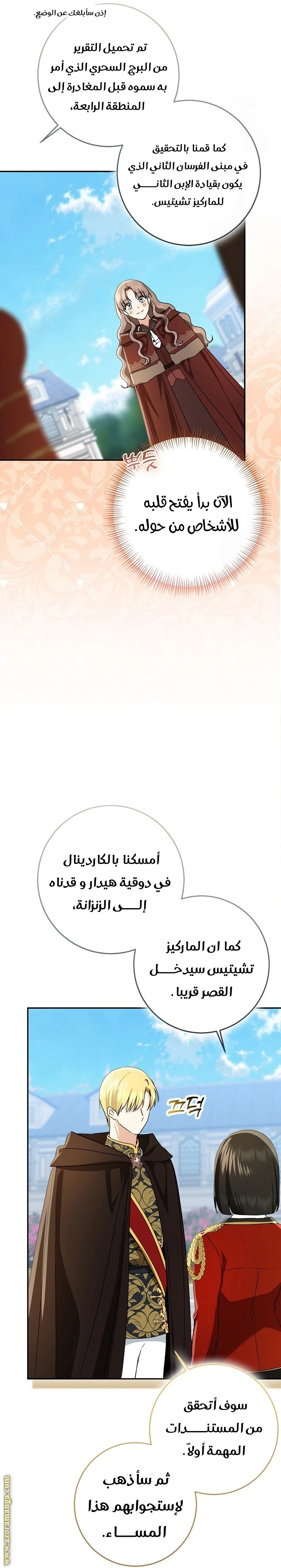 الصفحة 17