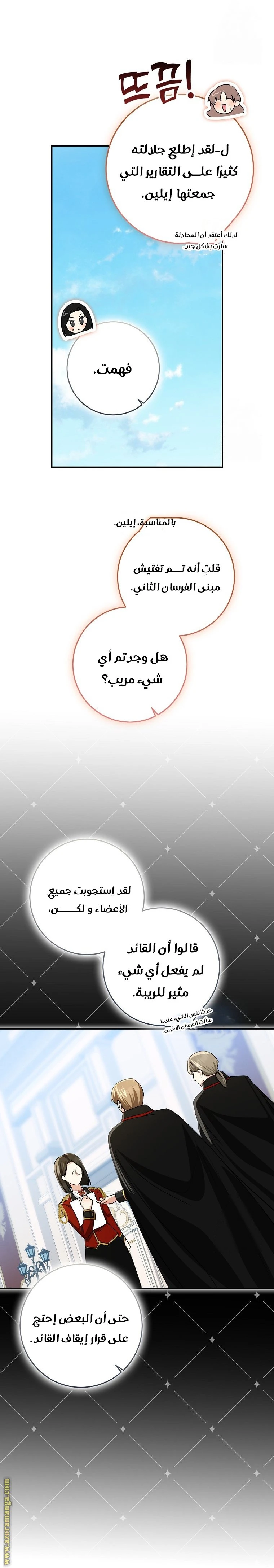 الصفحة 19