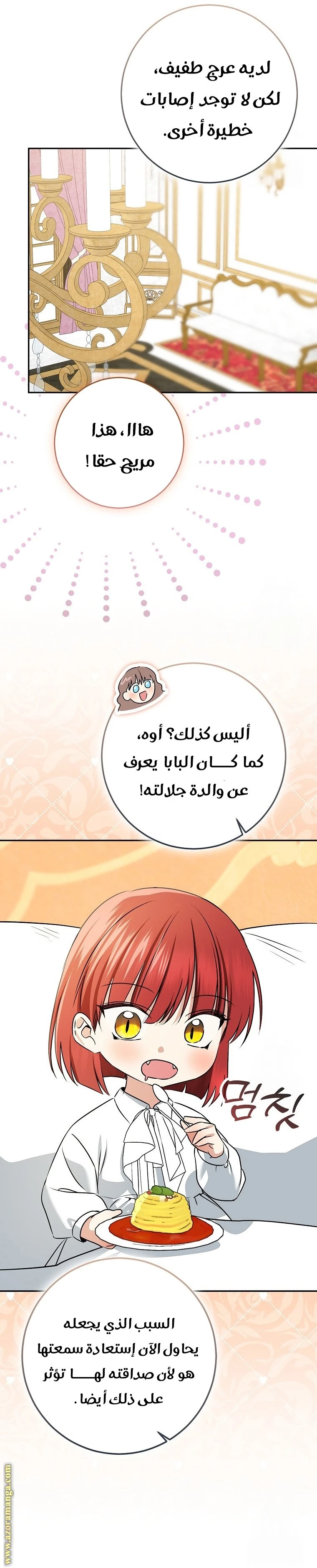 الصفحة 41