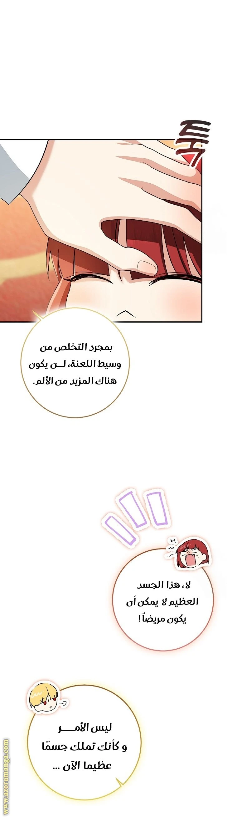 الصفحة 43