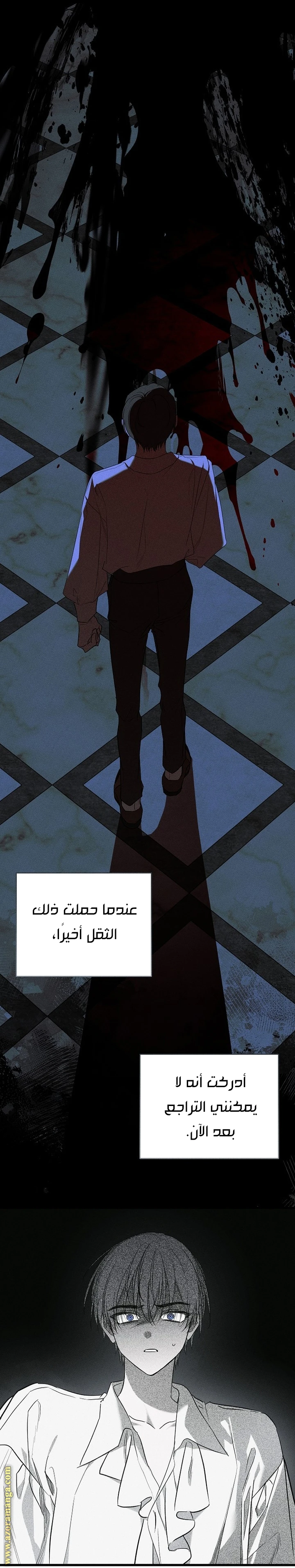 الصفحة 14