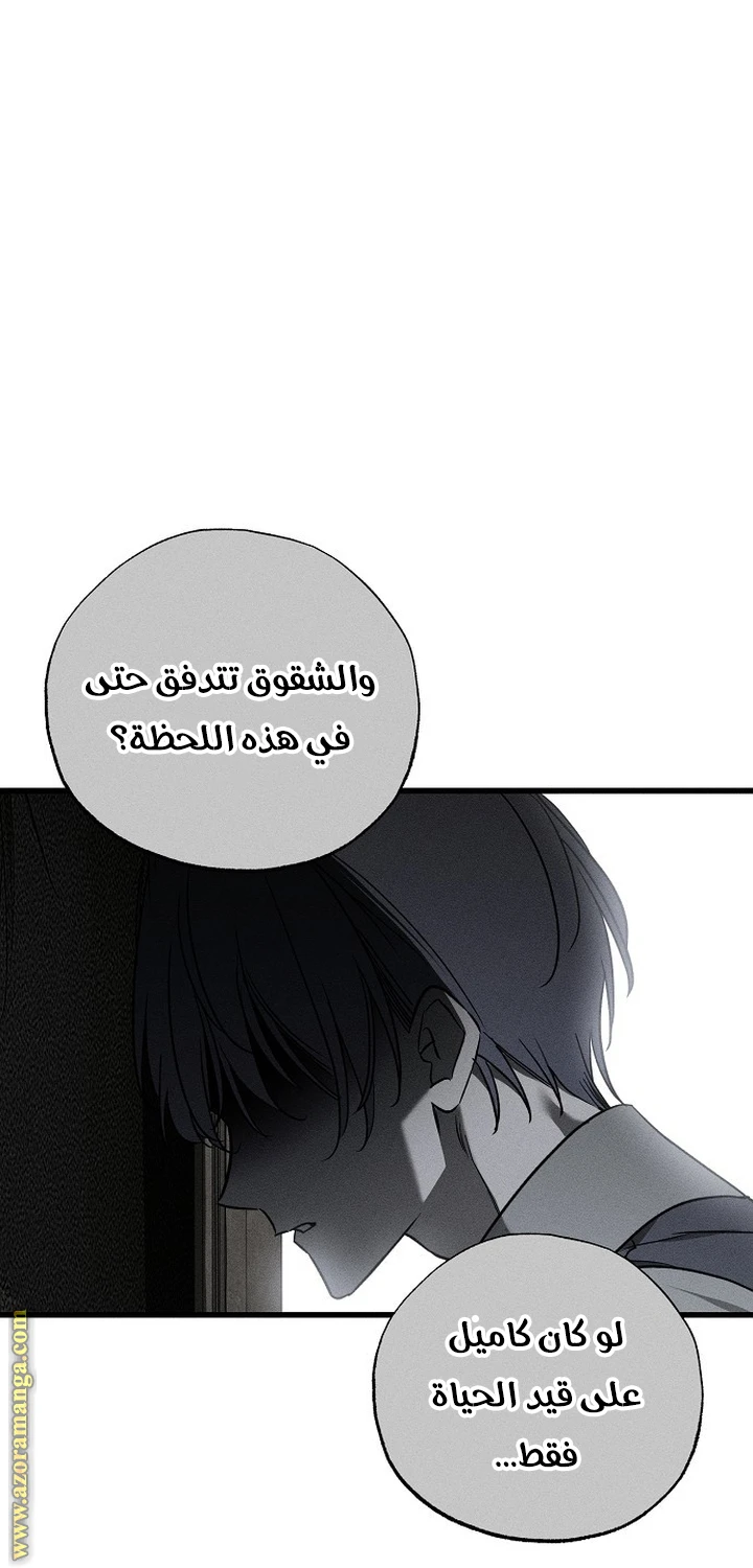 الصفحة 23