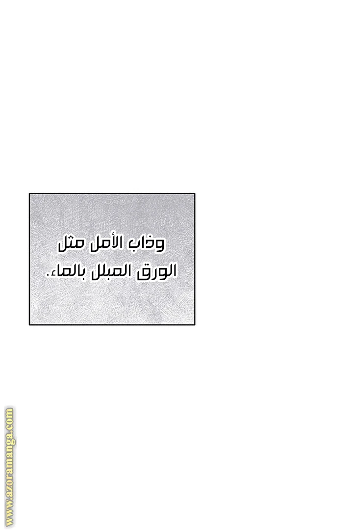 الصفحة 29