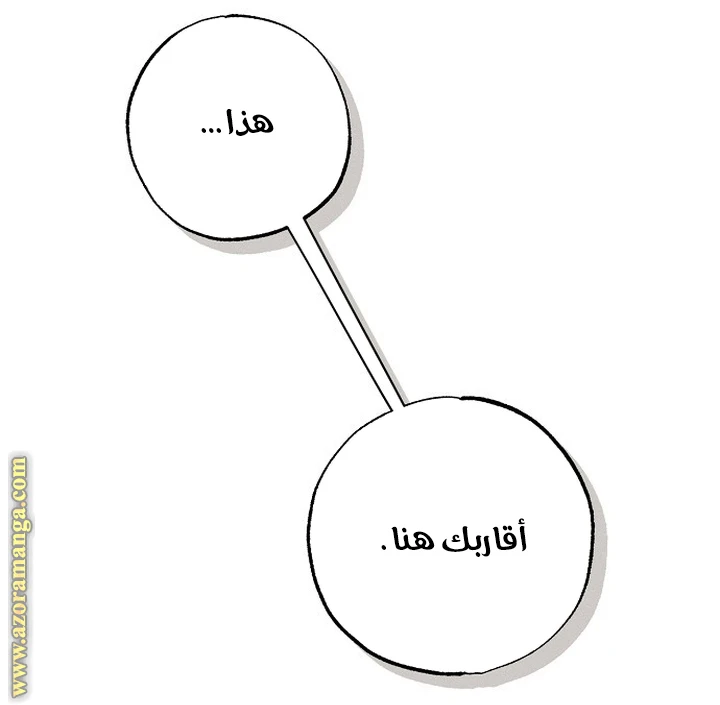 الصفحة 41