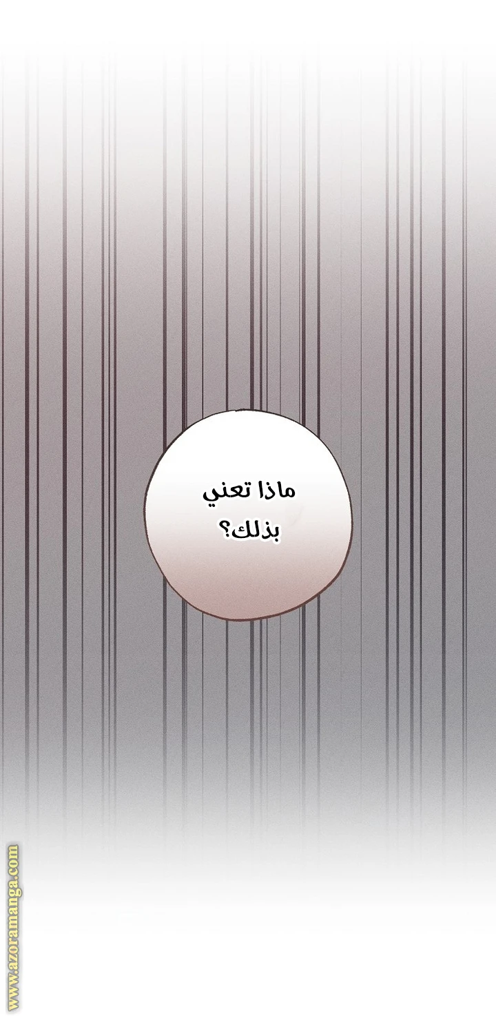 الصفحة 43