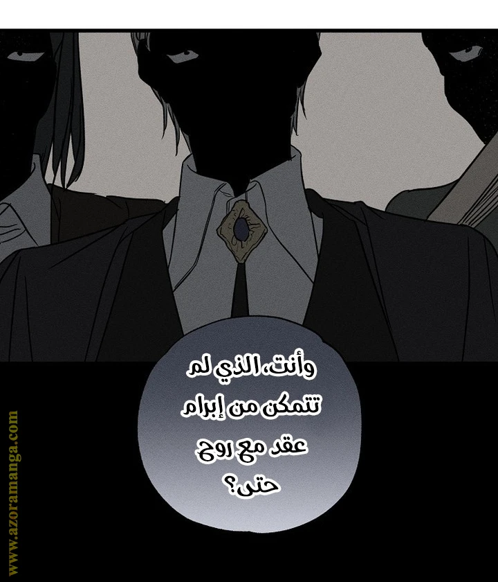 الصفحة 48