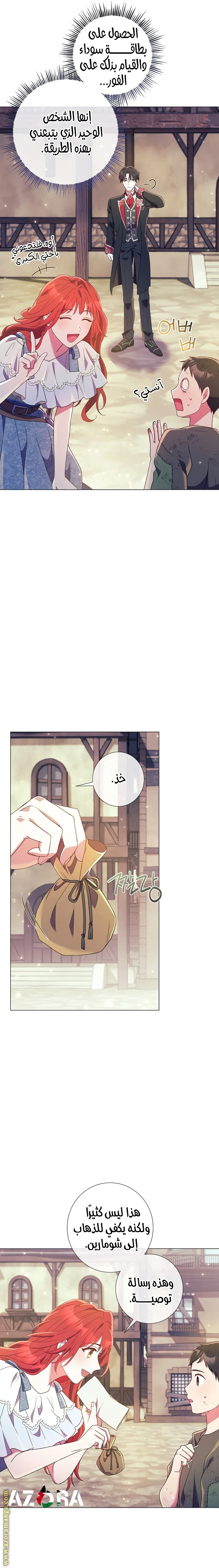 الصفحة 17