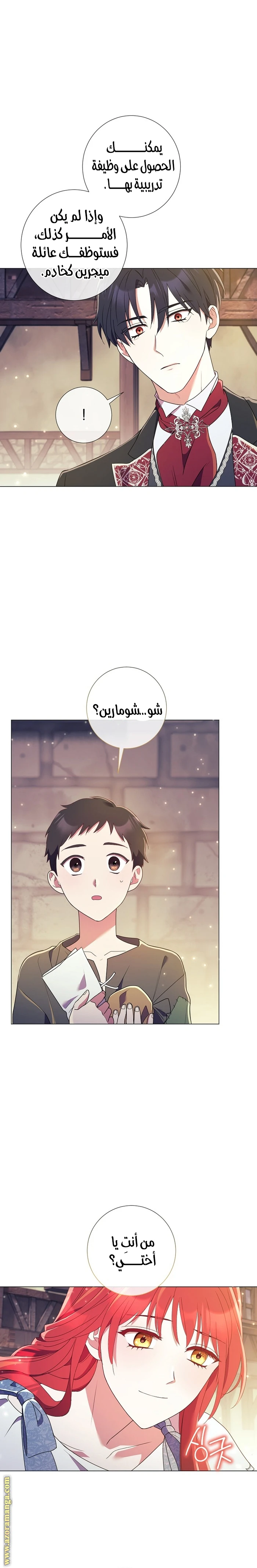 الصفحة 18