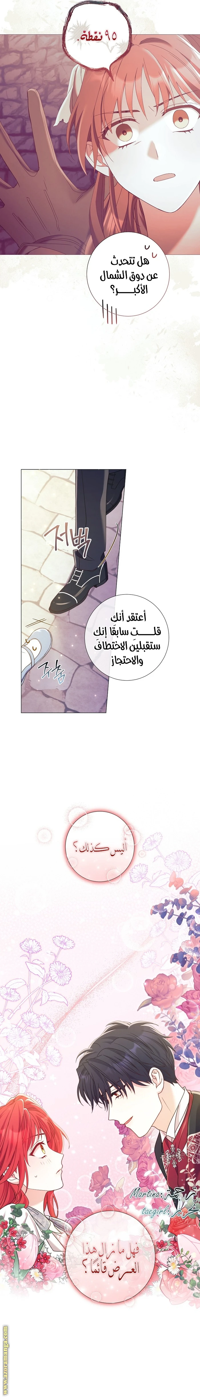 الصفحة 27
