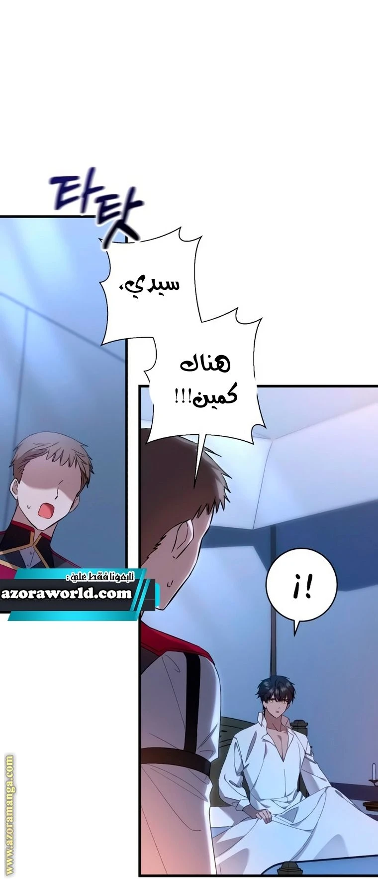الصفحة 17