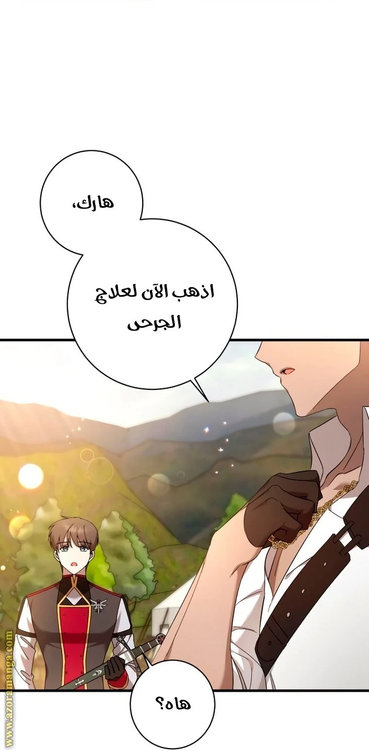 الصفحة 31