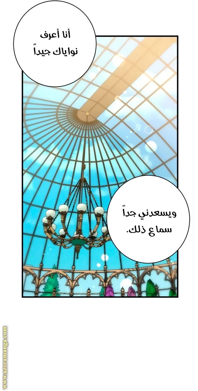 الصفحة 48
