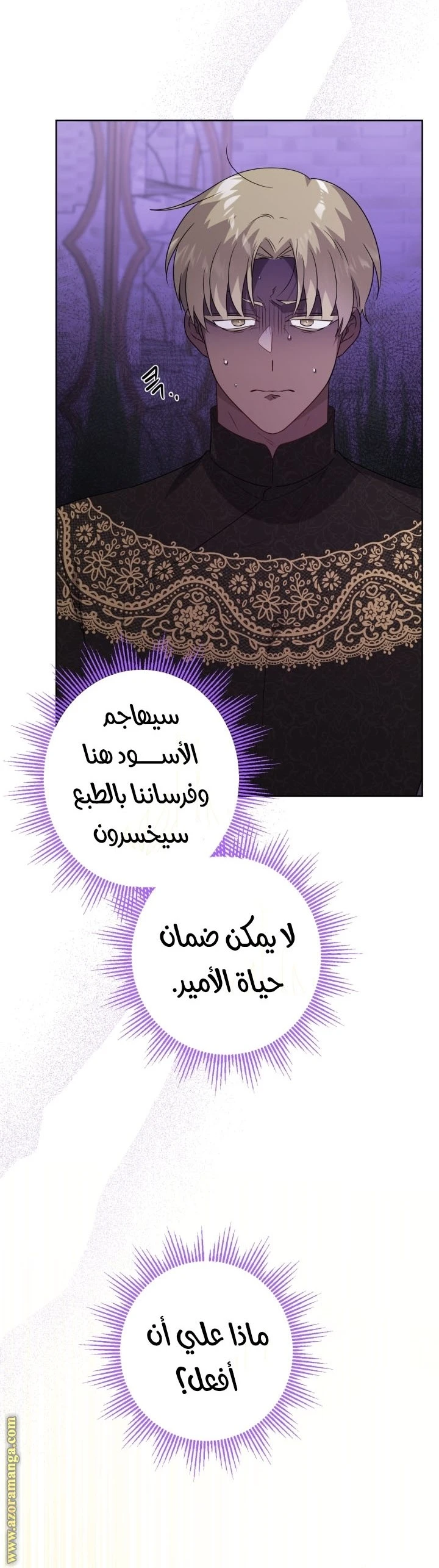 الصفحة 17