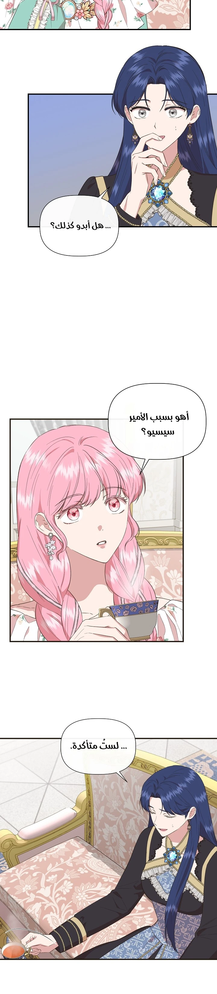 الصفحة 13