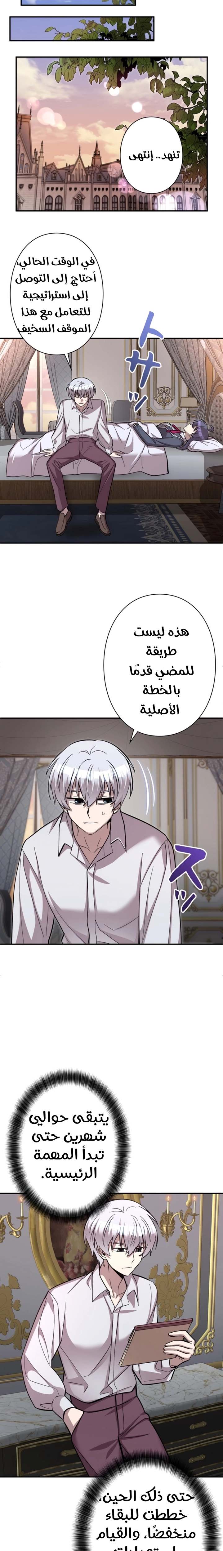 الصفحة 17