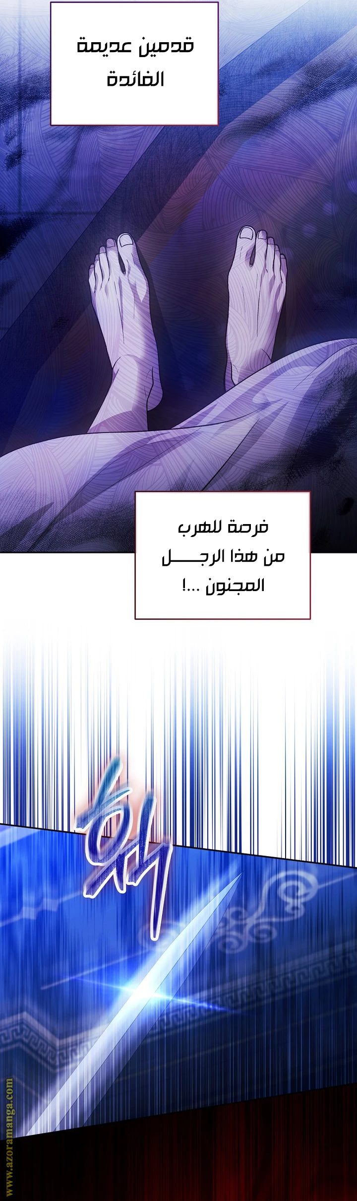 الصفحة 17