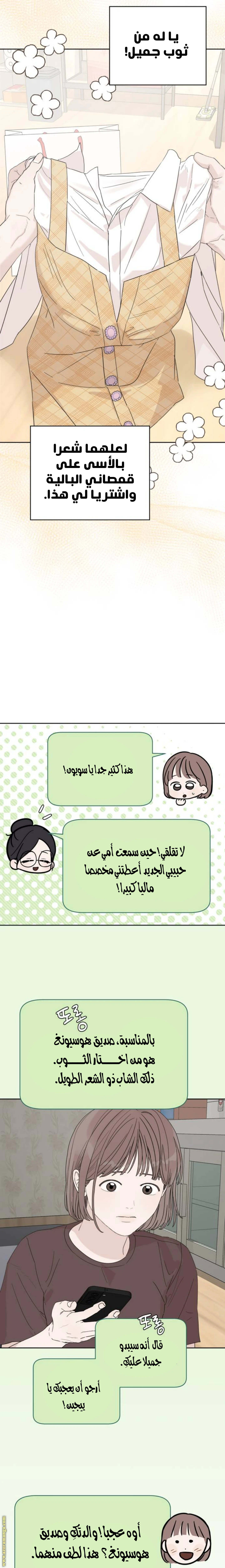 الصفحة 13