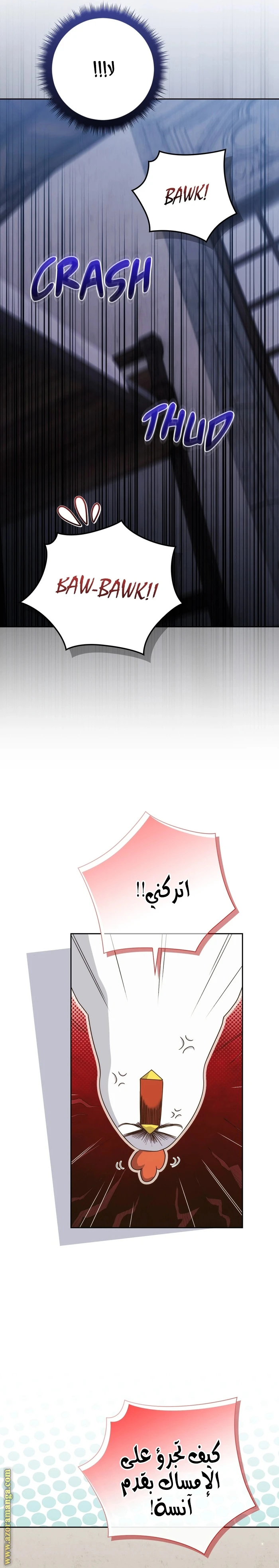 الصفحة 11