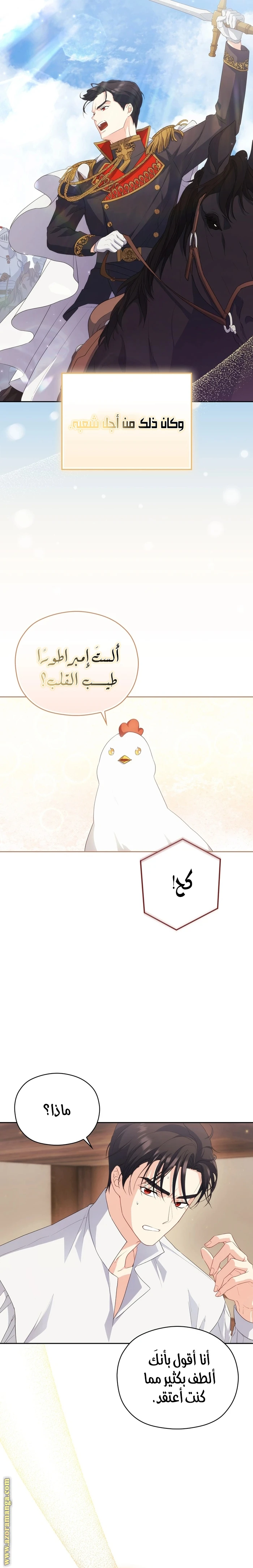 الصفحة 19