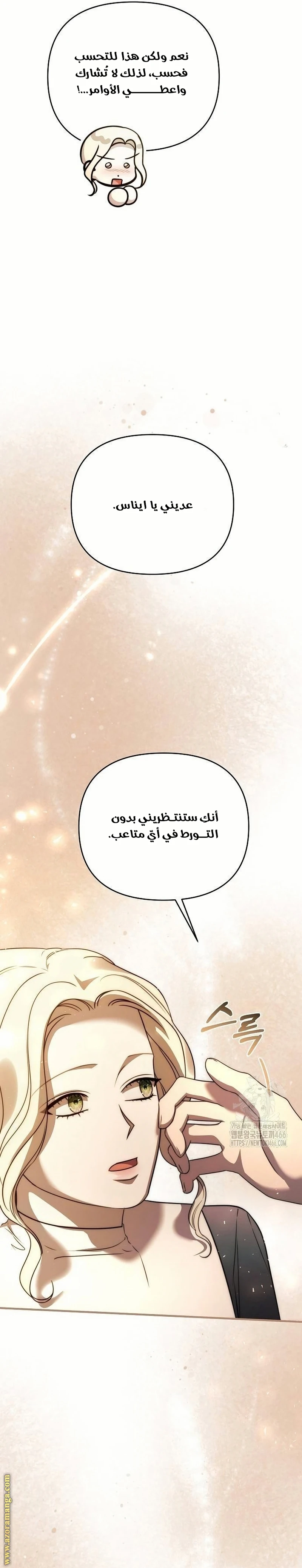 الصفحة 24