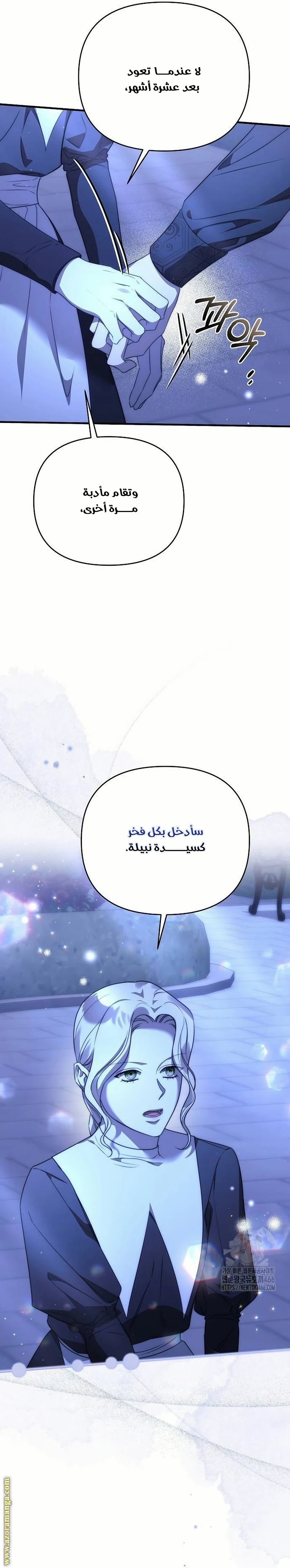الصفحة 29